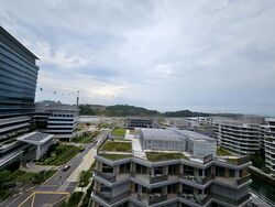 The Reef At King’s Dock (D4), Condominium #452764901